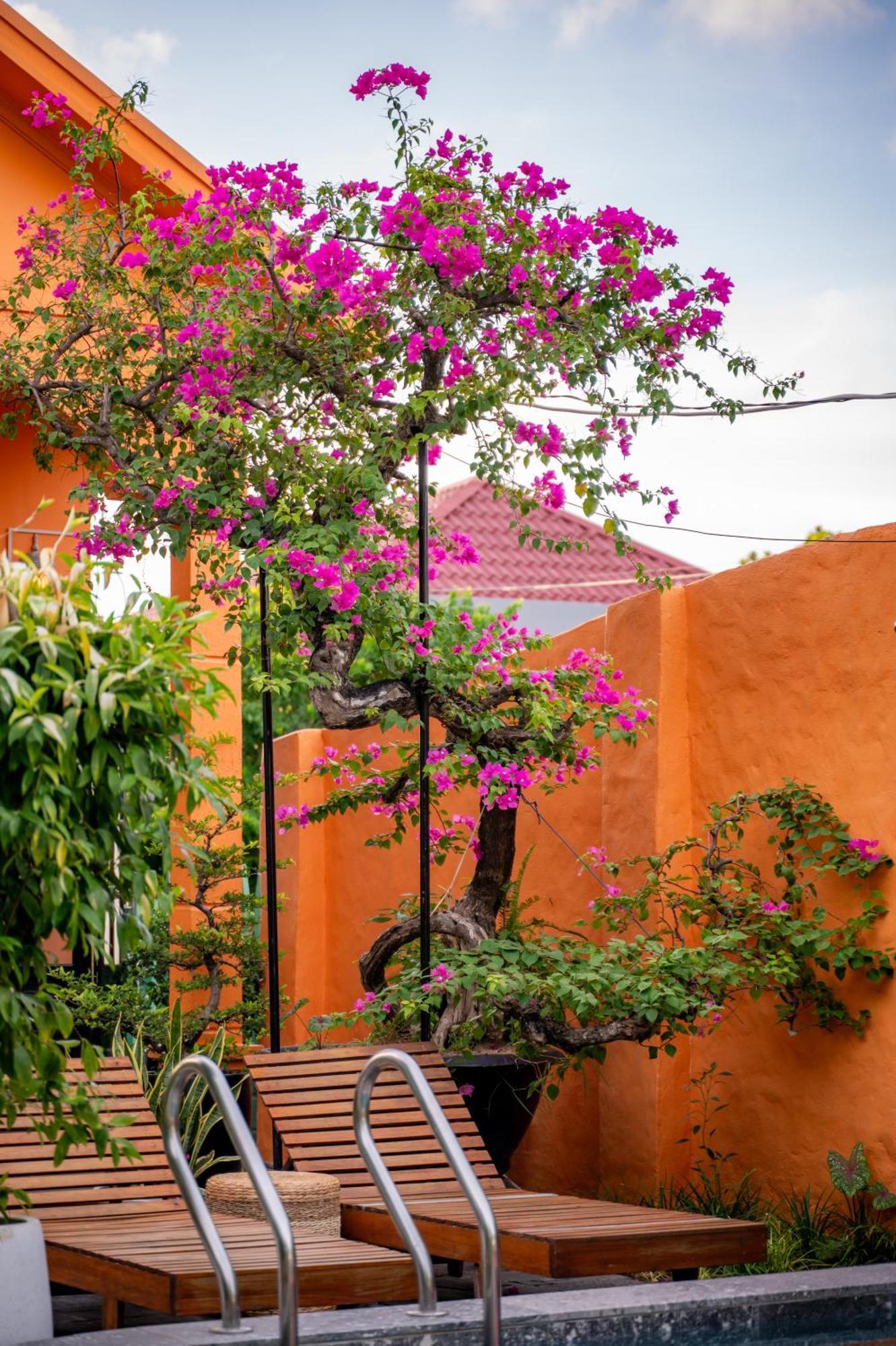 Alana Homestay Hoi An Eksteriør billede